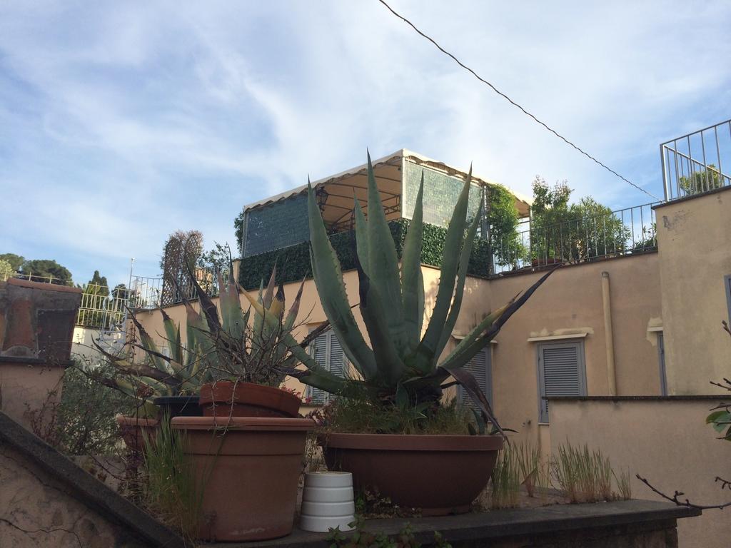 Hotel Orange Garden
